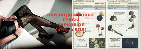 мяу мяу мука Козловка
