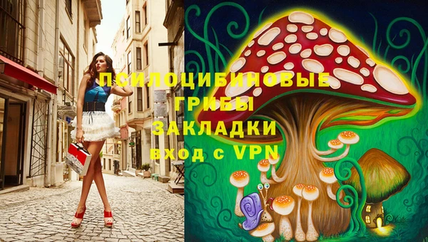 таблы Козельск
