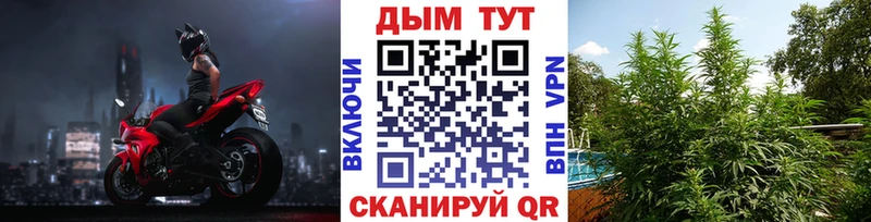 Купить закладки  Бугульма  Бошки Шишки VHQ 
